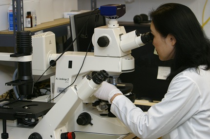 oto---research.jpg
